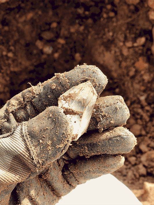 A gloved hand holding a clear quartz with dirty in the background.