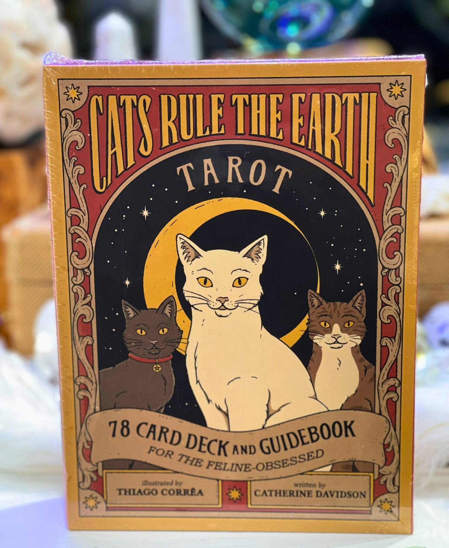 Cat Ruling Earth Cats Rule the Earth Tarot – Hidden Gem