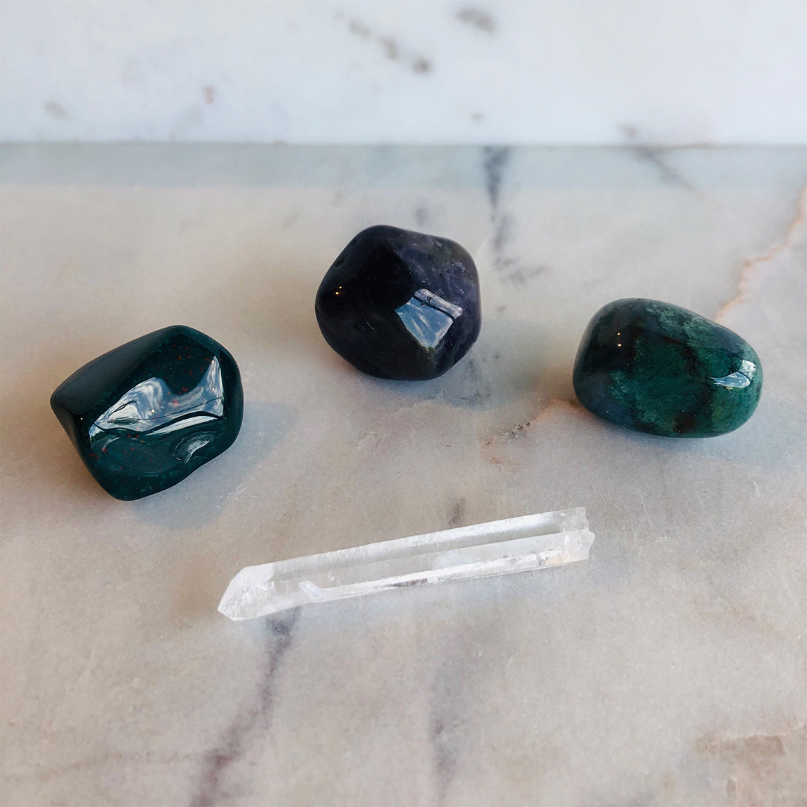 Wellness Support